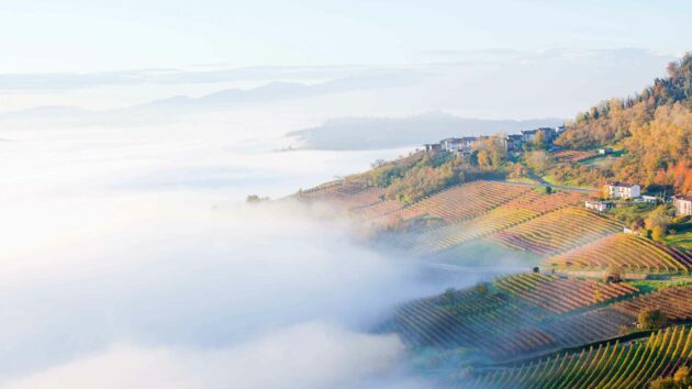 Bella Italia: Wein und Trüffel aus dem Piemont
