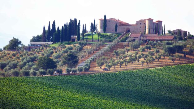 Exklusive Weine aus der Toskana – Genuss und Geschichte