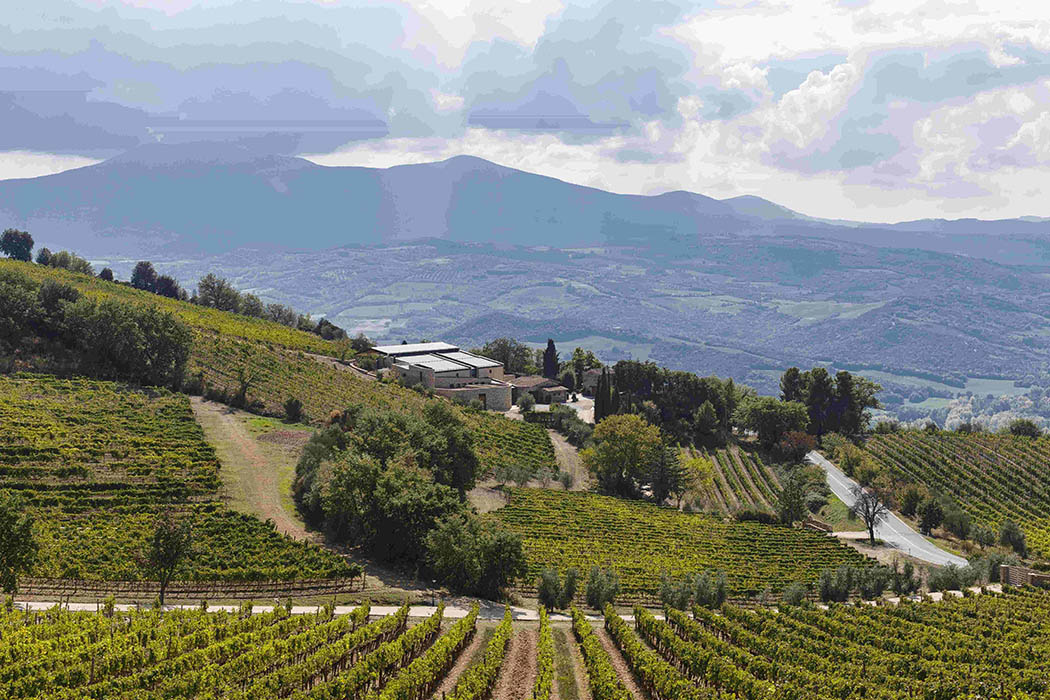 Tenuta%20San%20Giorgio1
