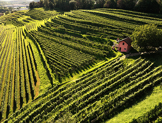 ullrich-schweiz-landschaft-525-400