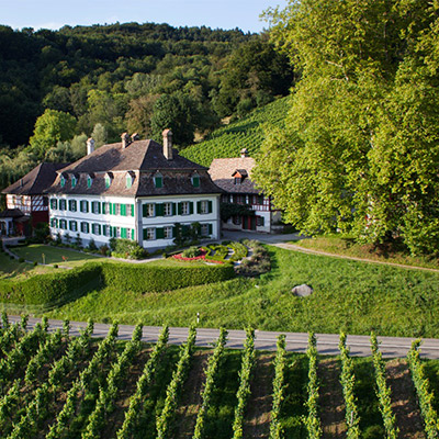 ullrich-schweiz-weingut-525-400