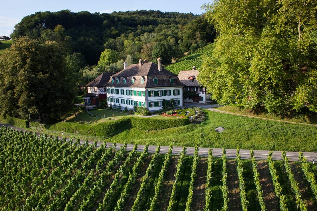 Schlossgut%20Bachtobel-Weinfelder