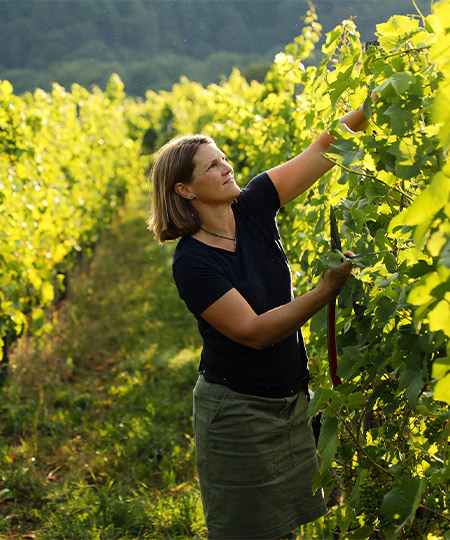 Obrecht_Weingut_450x540
