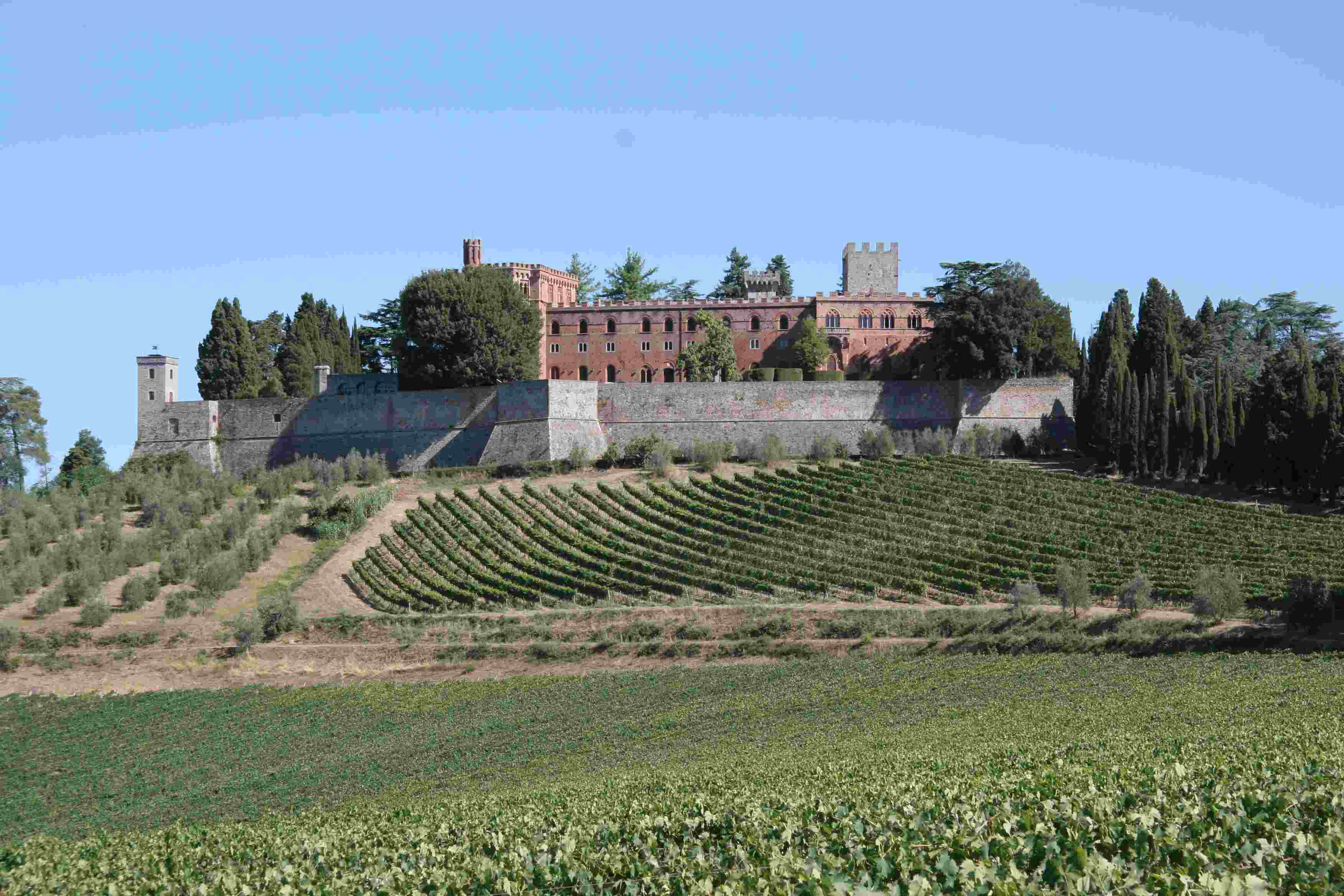 Barone%20Ricasoli1