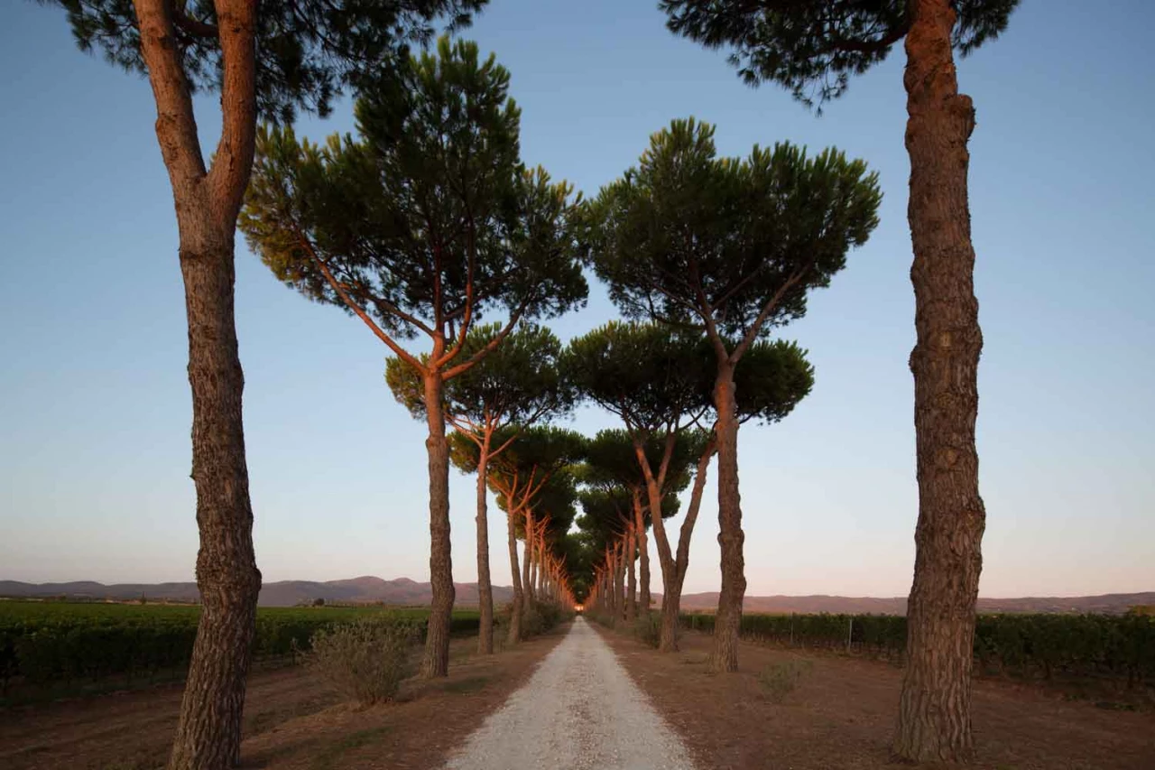 entrance_1280x1280