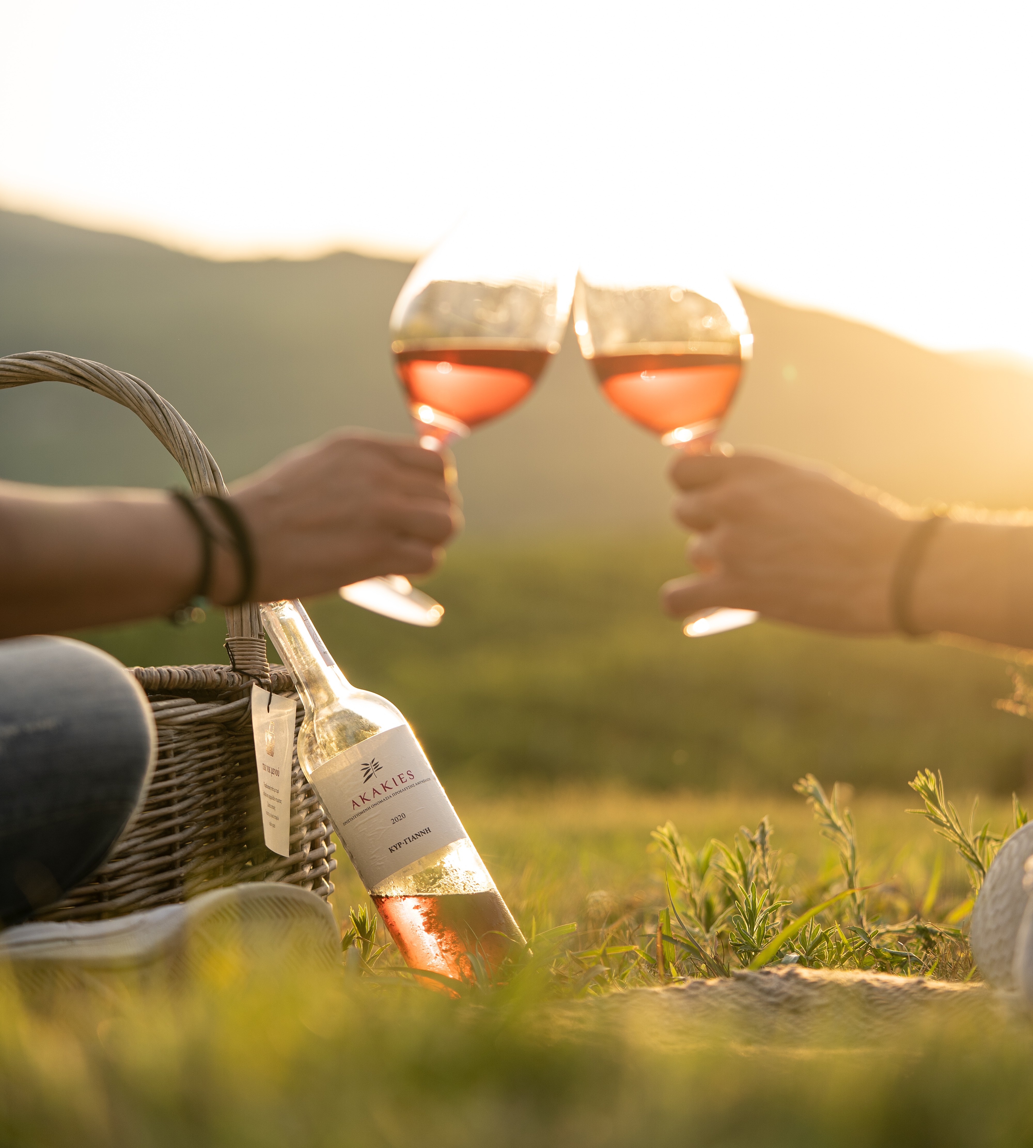 Rosé für jedes Budget