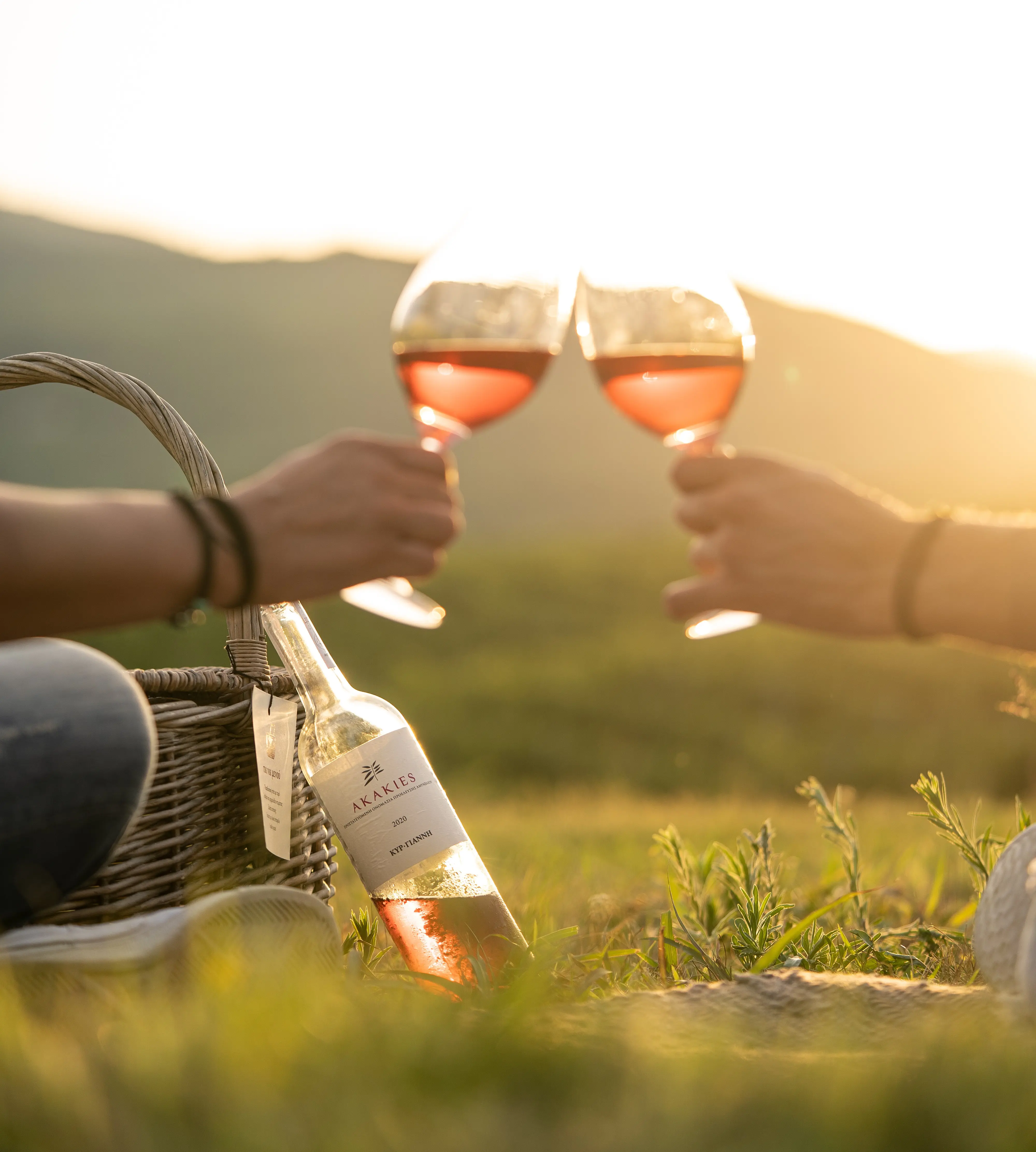 Rosé für jedes Budget