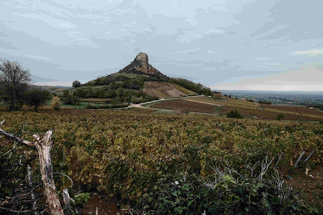 Domaine%20de%20la%20Chapelle1