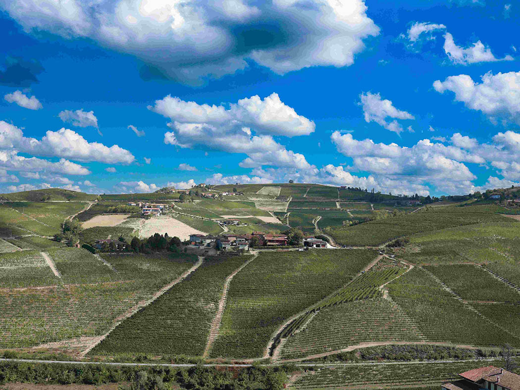 Albino%20Rocca1