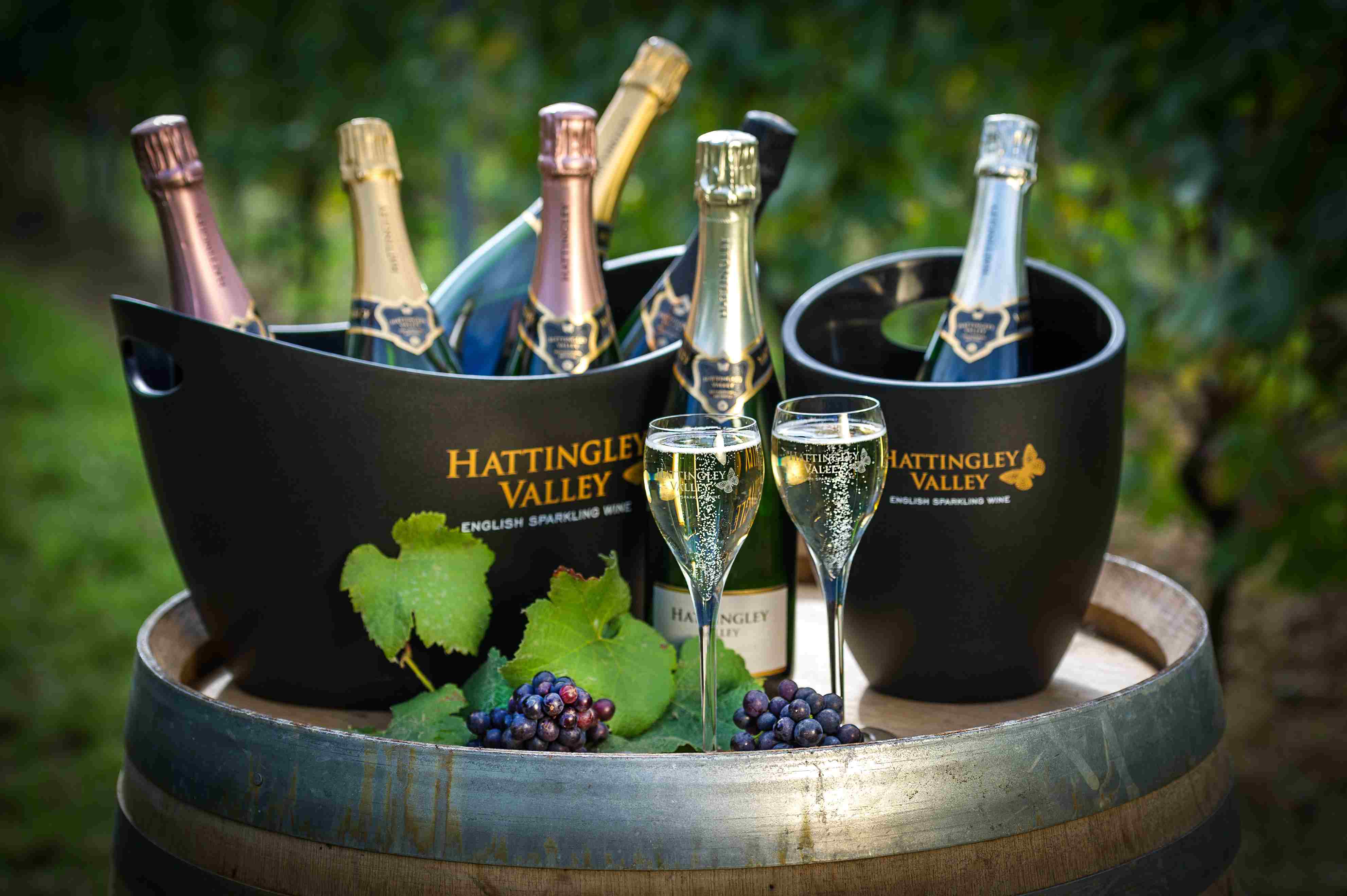 Hattingley%20Valley1