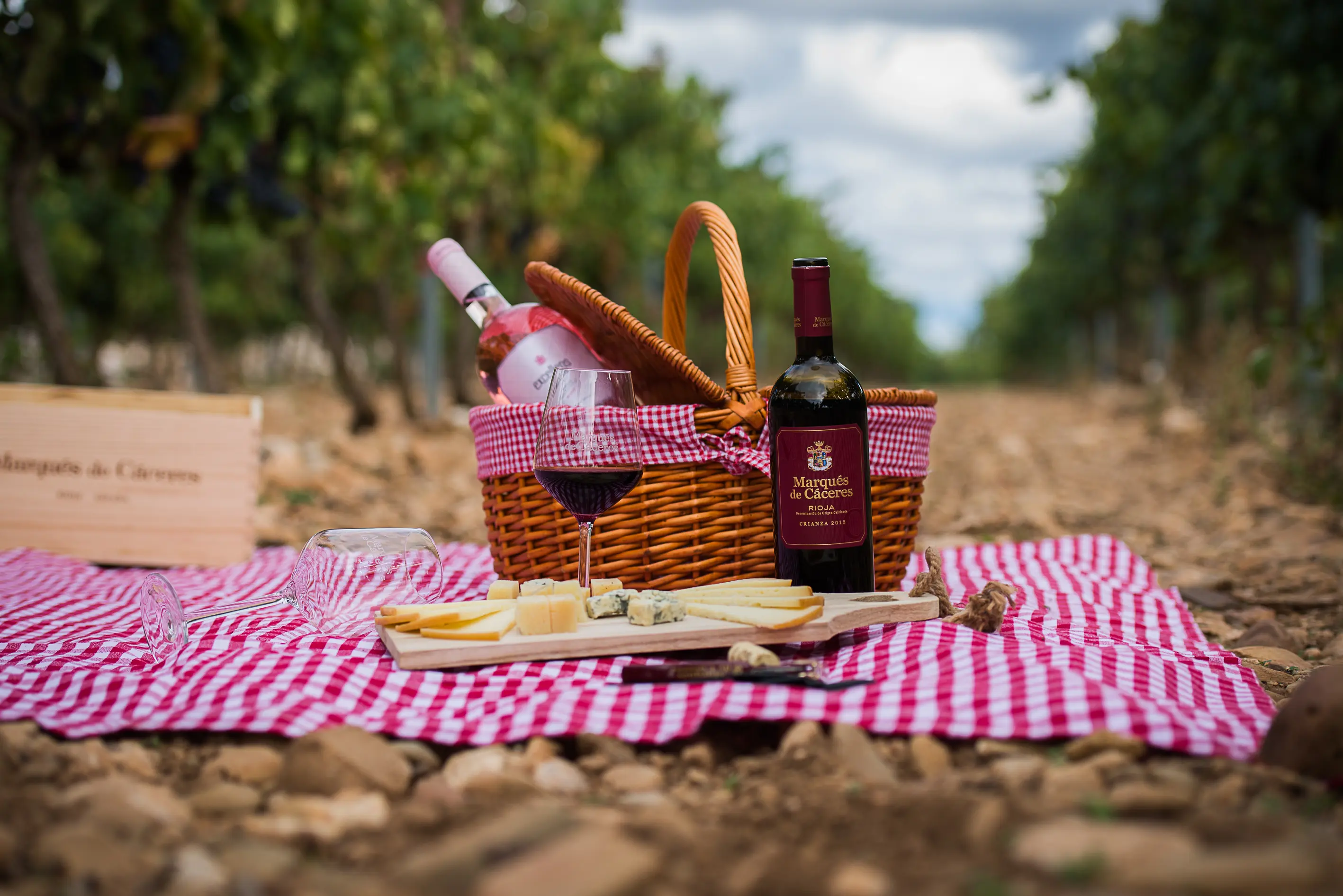 Marqués de Cáceres