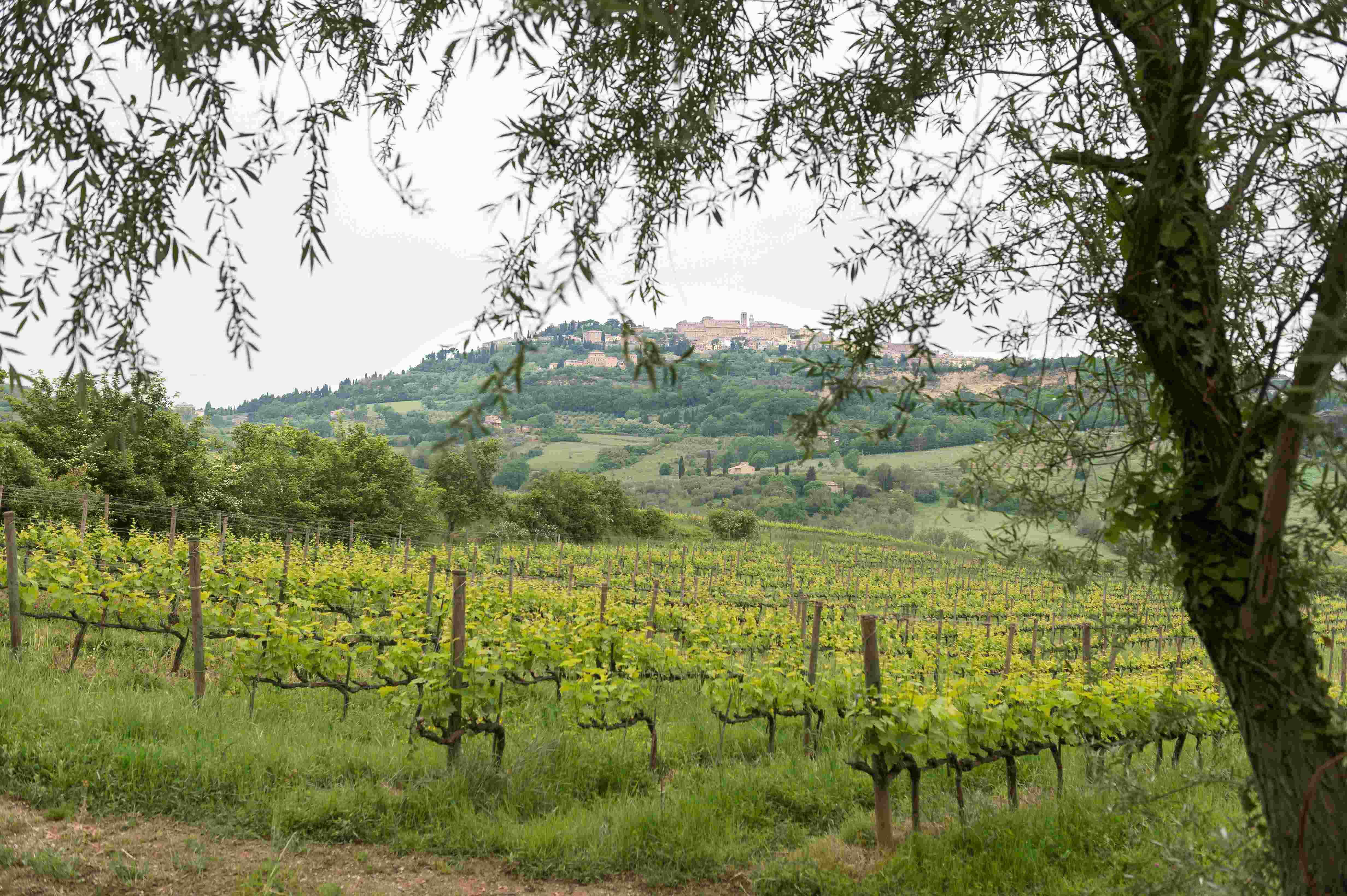 PU_2016_Italien_DSC2333