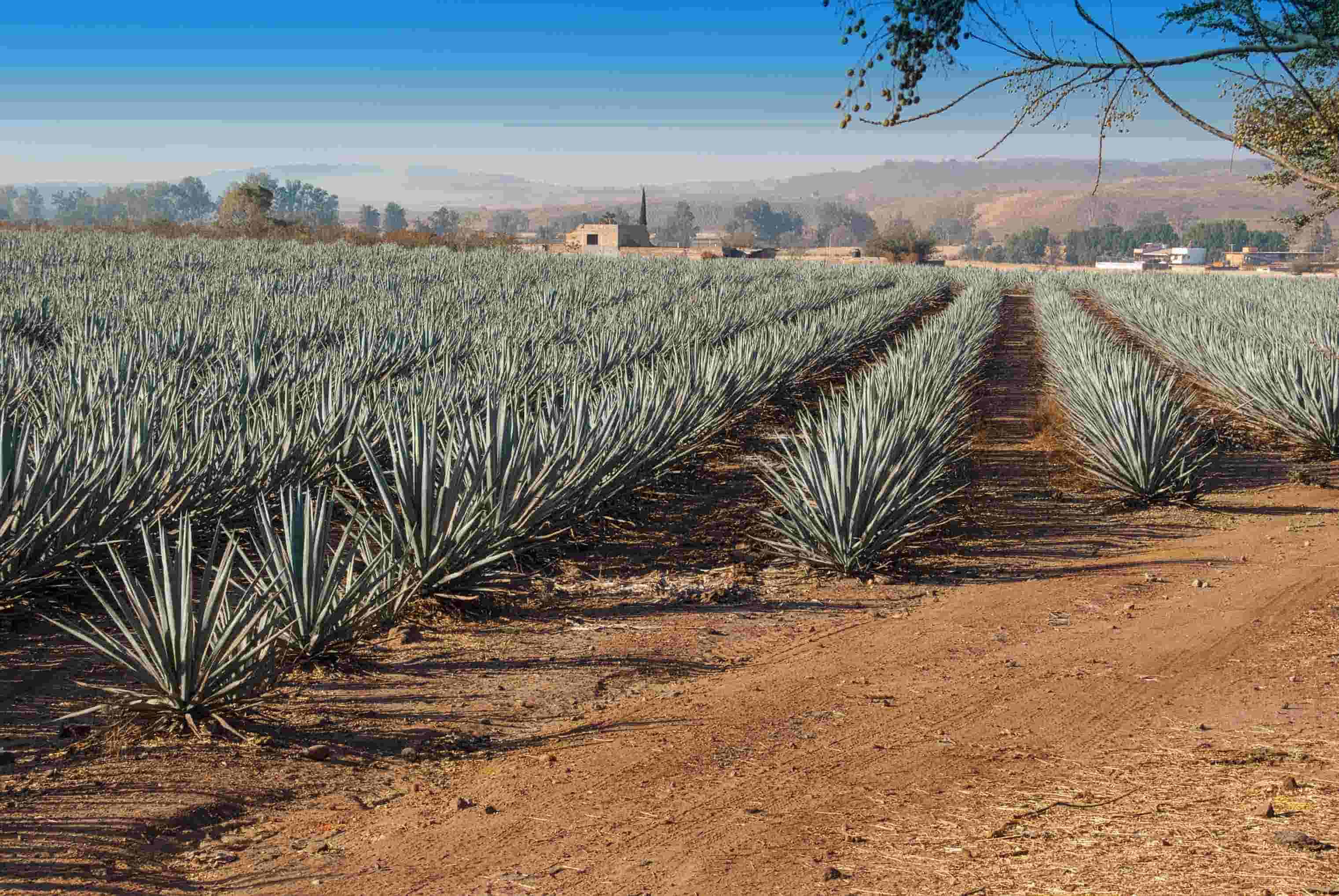 Padre%20Azul1